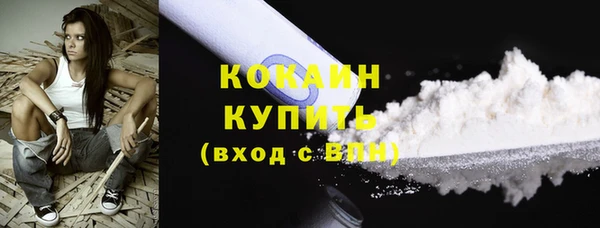 твердый Абаза