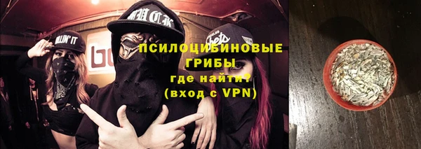 твердый Абаза